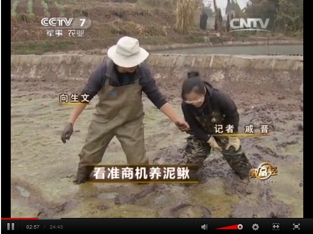 沈陽向生文瞅準(zhǔn)商機養(yǎng)泥鰍致富傳奇視頻