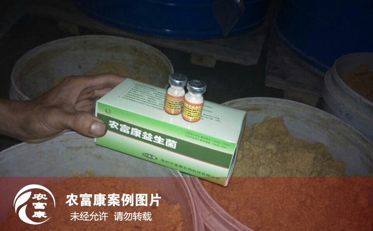 農(nóng)富康養(yǎng)殖em菌種給豬飲水拌料用戶使用案例圖片