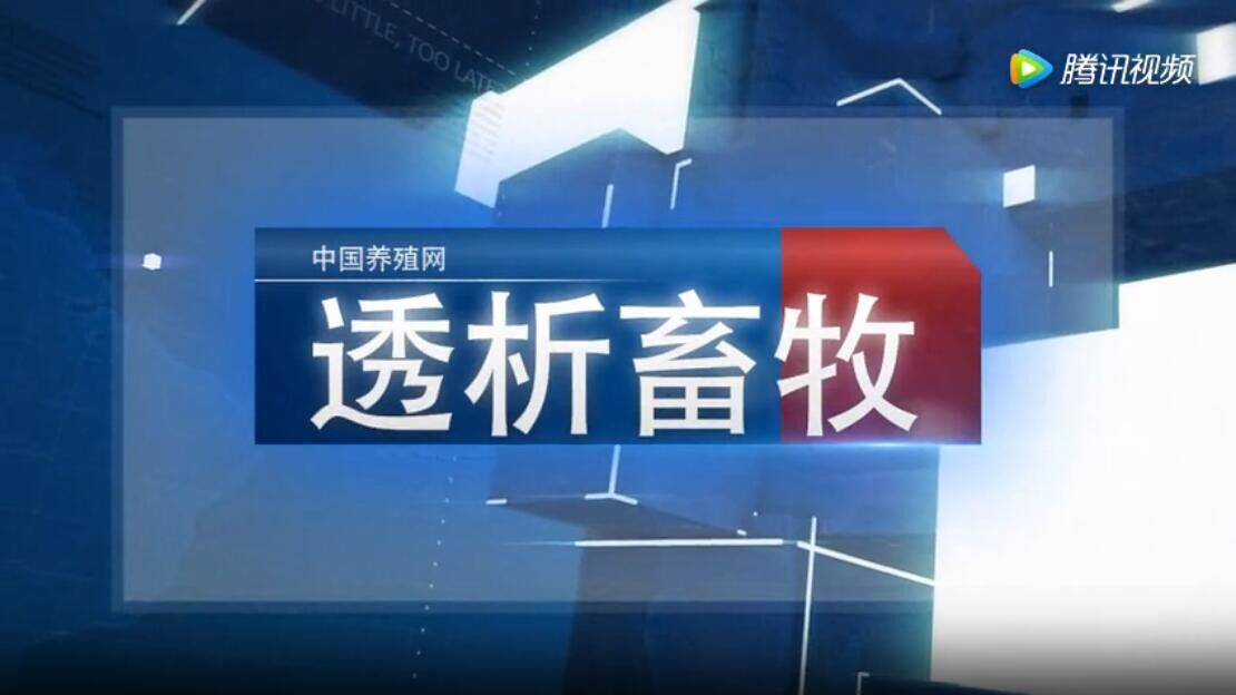 喬玉峰：最新豬業(yè)國(guó)家相關(guān)政策解析